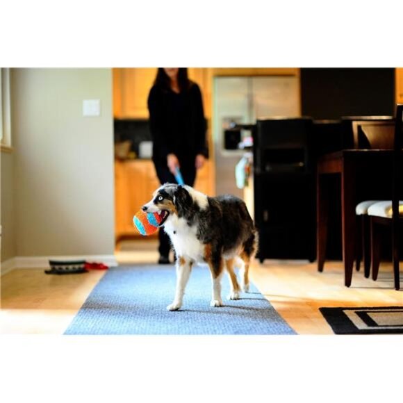 Indoor Fetch Ball Dog Toy (4.75 Inch), Orange and Blue - Picture 5 of 6